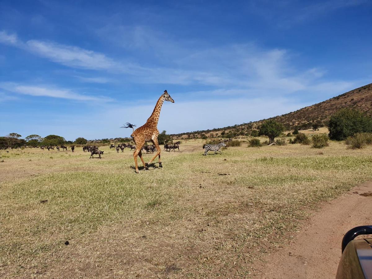 Africa Safari Lake Natron Mtowabaga Exterior photo