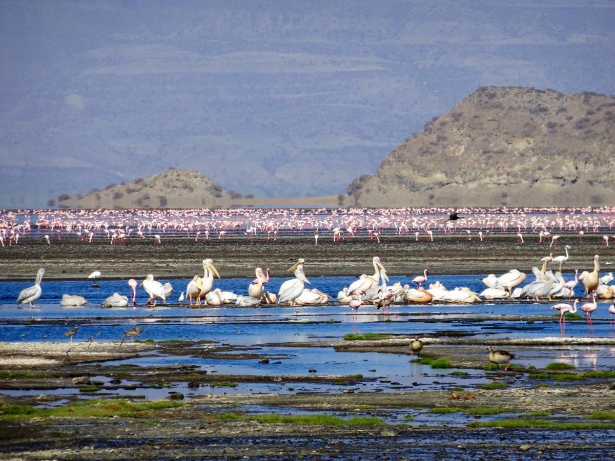 Africa Safari Lake Natron Mtowabaga Exterior photo